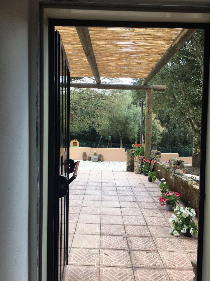 Azienda Agrituristica S'Argalasi - B&B - Affittacamere Loc S'Argalasi Austis المظهر الخارجي الصورة