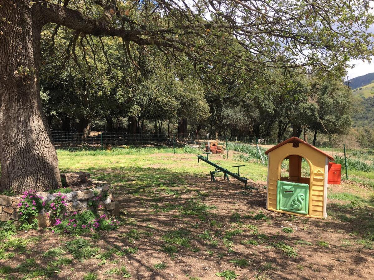 Azienda Agrituristica S'Argalasi - B&B - Affittacamere Loc S'Argalasi Austis المظهر الخارجي الصورة