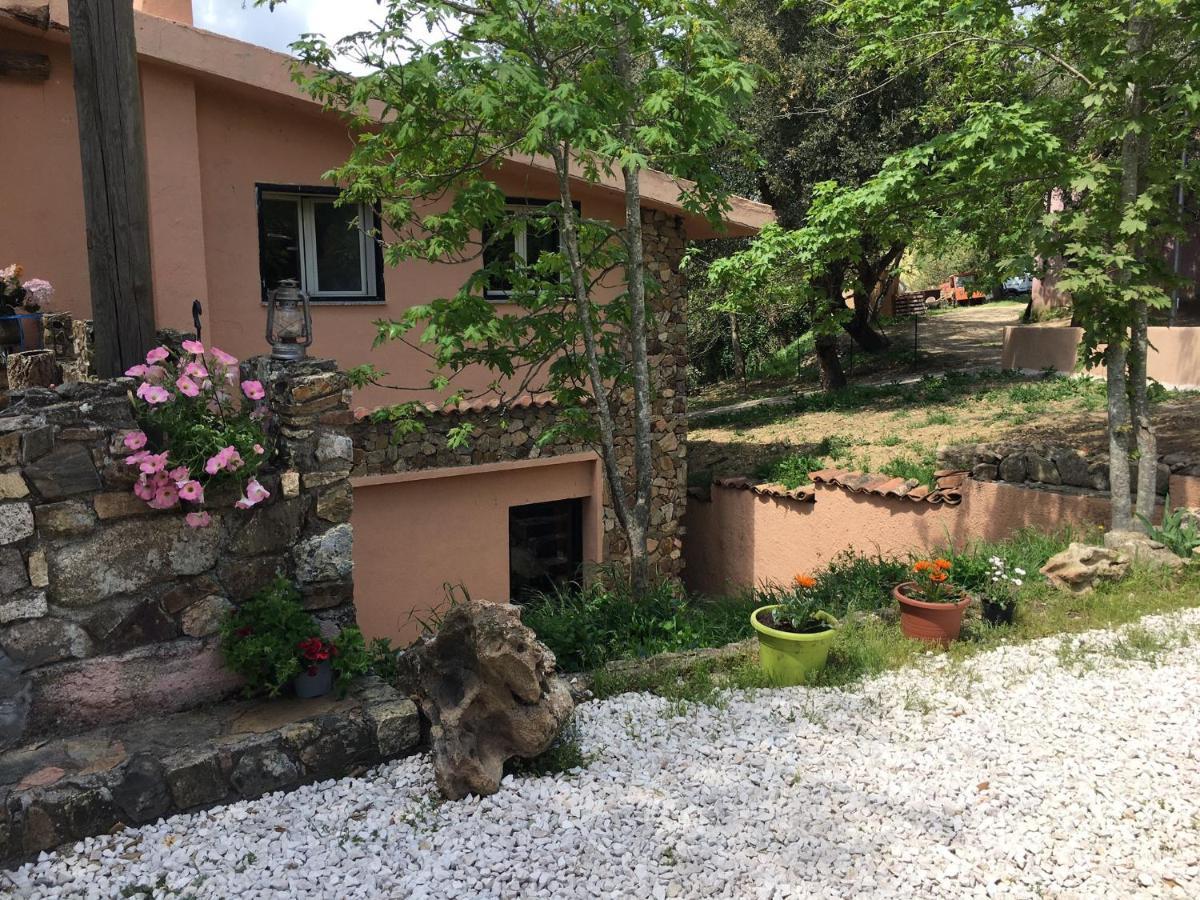 Azienda Agrituristica S'Argalasi - B&B - Affittacamere Loc S'Argalasi Austis المظهر الخارجي الصورة