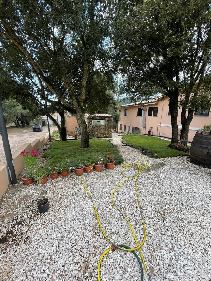 Azienda Agrituristica S'Argalasi - B&B - Affittacamere Loc S'Argalasi Austis المظهر الخارجي الصورة
